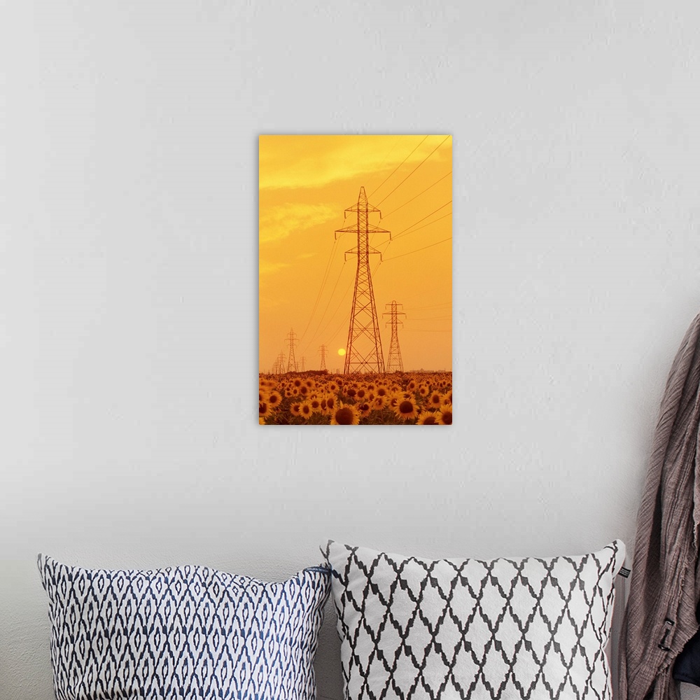 A bohemian room featuring Electrical Towers And Sunflower Field, Winnipeg, Manitoba, Canada