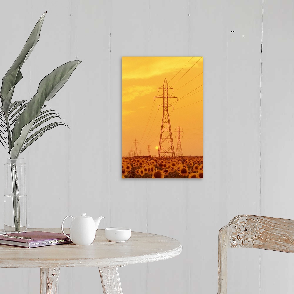 A farmhouse room featuring Electrical Towers And Sunflower Field, Winnipeg, Manitoba, Canada