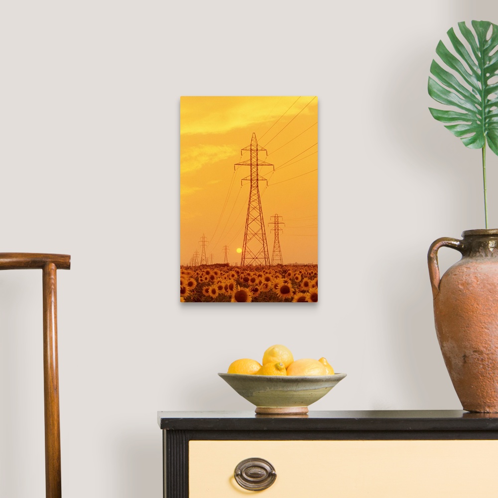 A traditional room featuring Electrical Towers And Sunflower Field, Winnipeg, Manitoba, Canada