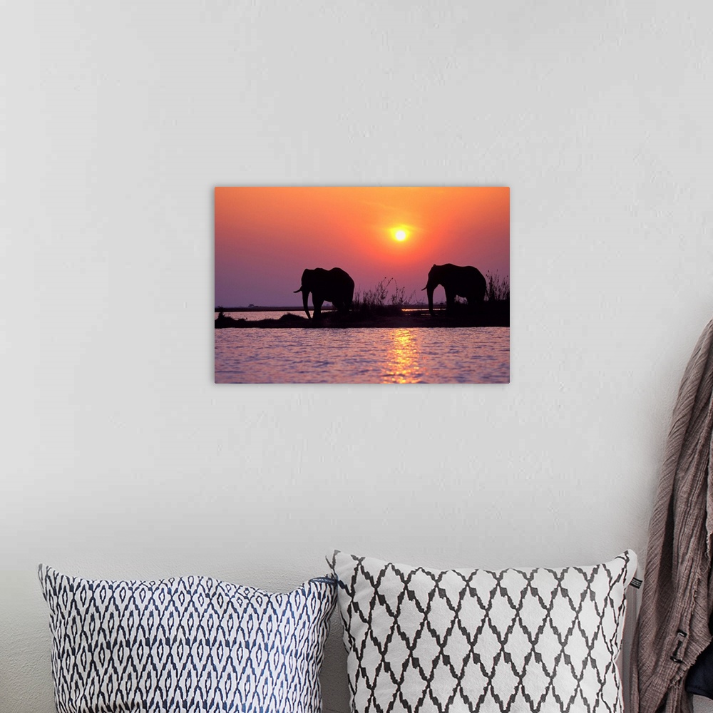 A bohemian room featuring Elephant Silhouettes