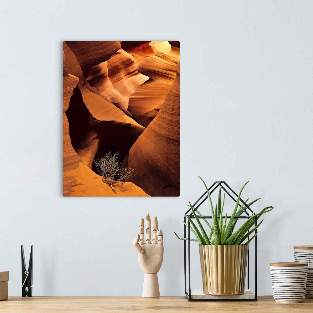 A bohemian room featuring Large vertical photograph of an eroded canyon. Single tumbleweed branch in foreground amplifies v...