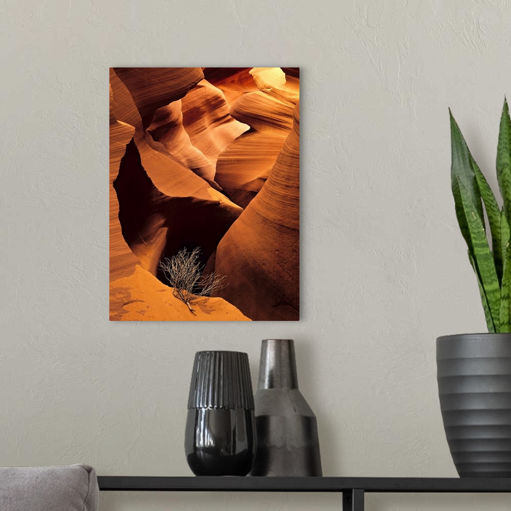 A modern room featuring Large vertical photograph of an eroded canyon. Single tumbleweed branch in foreground amplifies v...