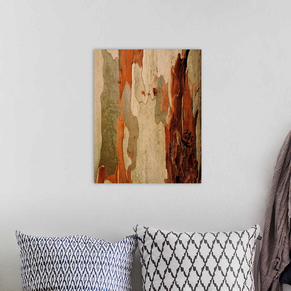 A bohemian room featuring Eucalyptus bark, mount usher, co Wicklow, Ireland.