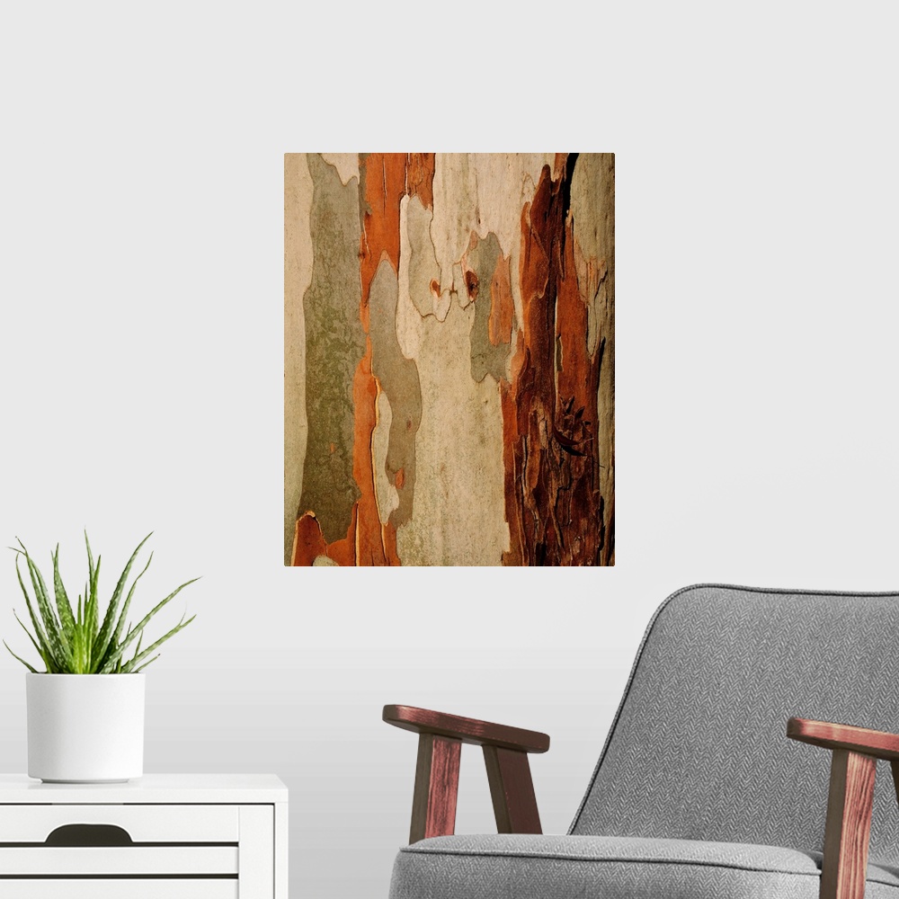 A modern room featuring Eucalyptus bark, mount usher, co Wicklow, Ireland.