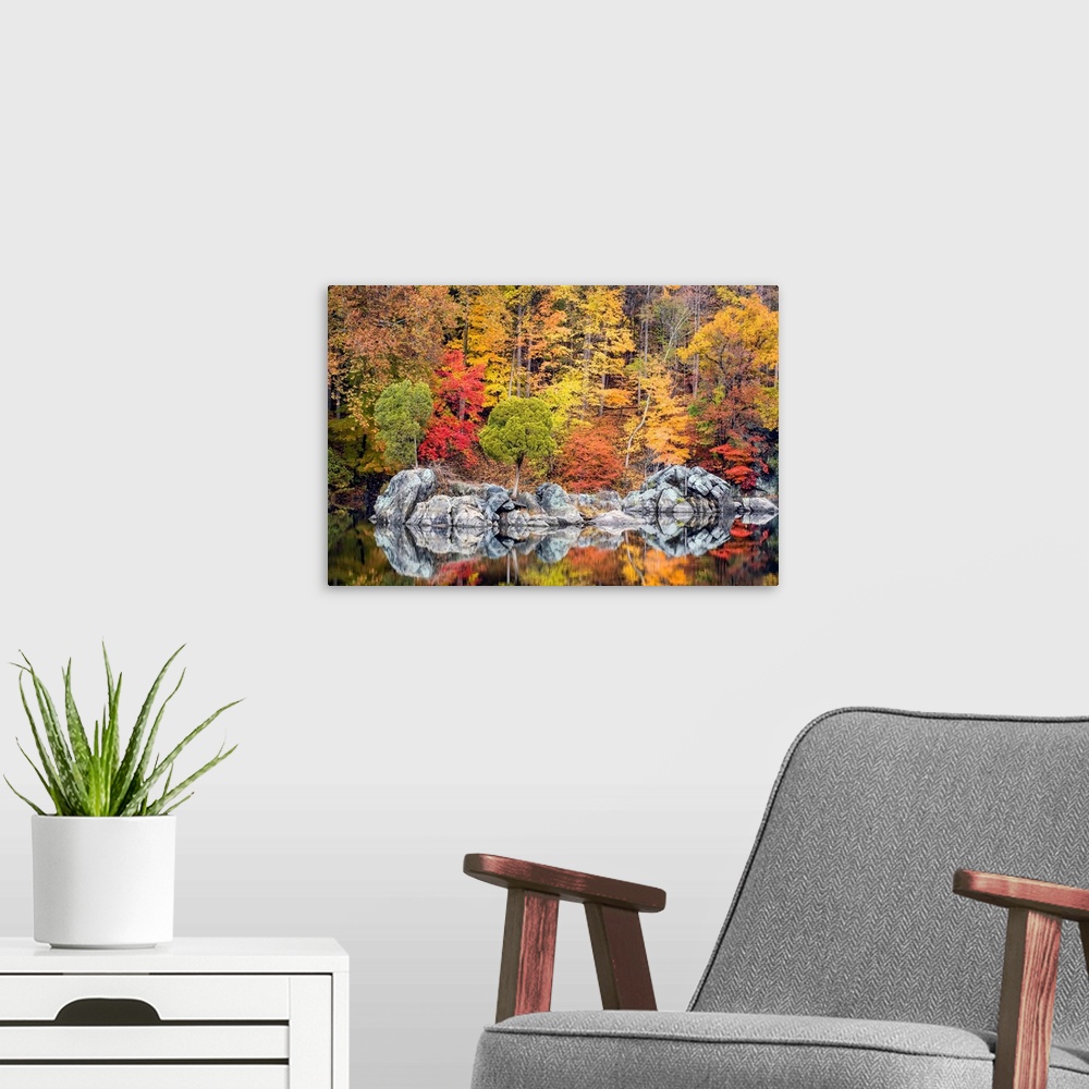 A modern room featuring Fall coloured foliage along the C&O Canal, Chesapeake and Ohio Canal National Historical Park Cab...