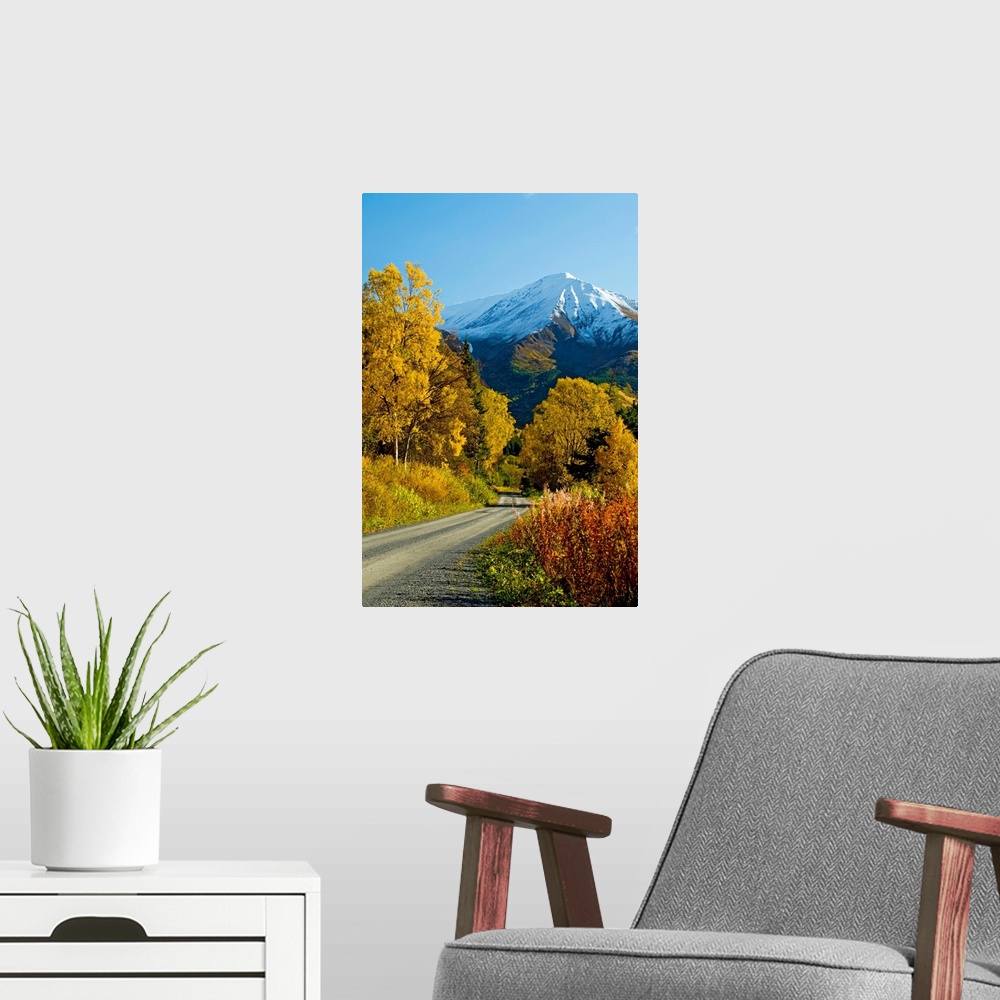 A modern room featuring Fall colors and snowcapped peaks on the Palmer Creek Road near Hope in the Chugach National Fores...