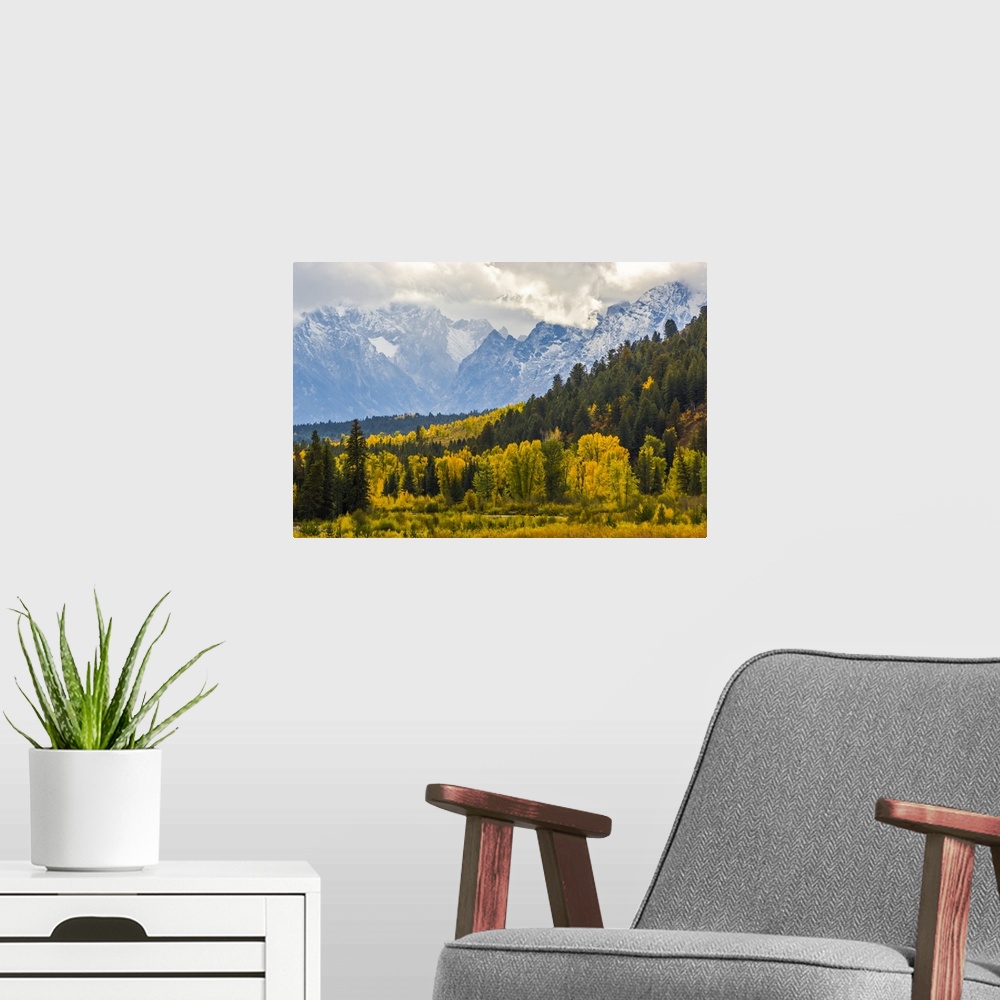 A modern room featuring Fall Colors at Pacific Creek in YNP and the Grand Tetons, Grand Teton National Park, Wyoming, Uni...