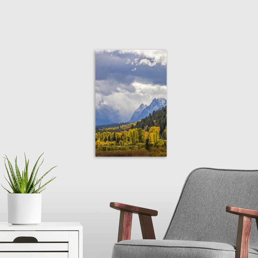 A modern room featuring Fall Colors at Pacific Creek in YNP and the Grand Tetons, Grand Teton National Park, Wyoming, Uni...