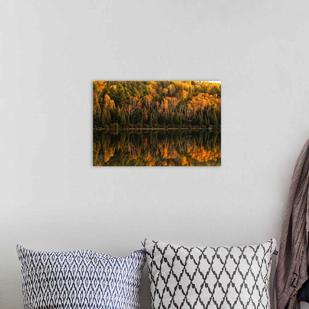 A bohemian room featuring Fall Colors Reflected In The Waters Of Opeongo Lake, Algonquin Park, Ontario, Canada