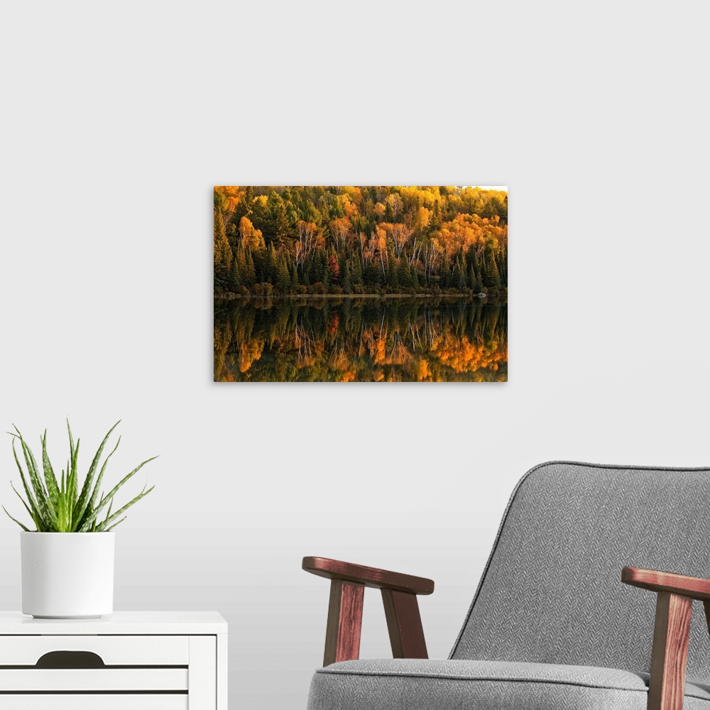 A modern room featuring Fall Colors Reflected In The Waters Of Opeongo Lake, Algonquin Park, Ontario, Canada