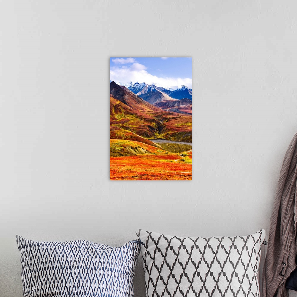 A bohemian room featuring Fall Colours And Alaska Range, Denali National Park, Alaska, USA