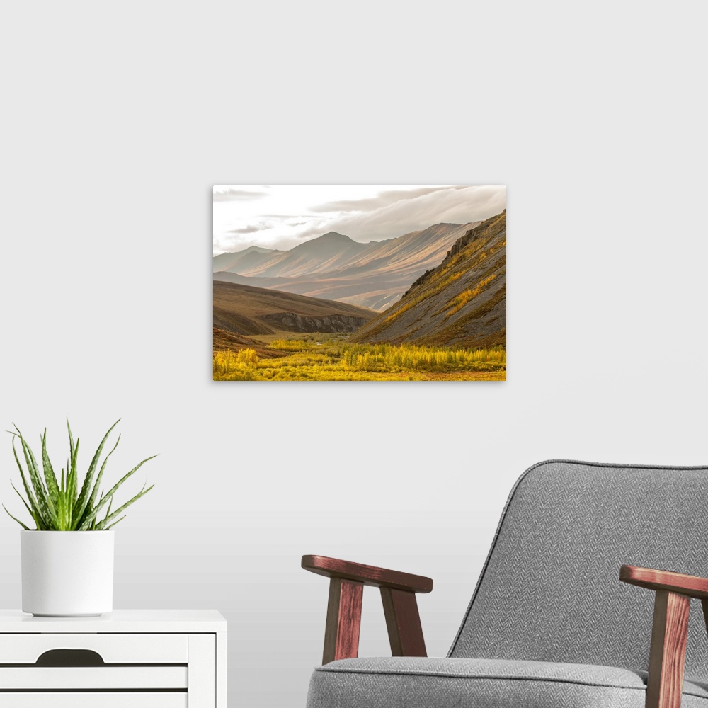 A modern room featuring Fall foliage over the tundra and mountain ridge in the Arctic National Wildlife Refuge, Alaska, U...