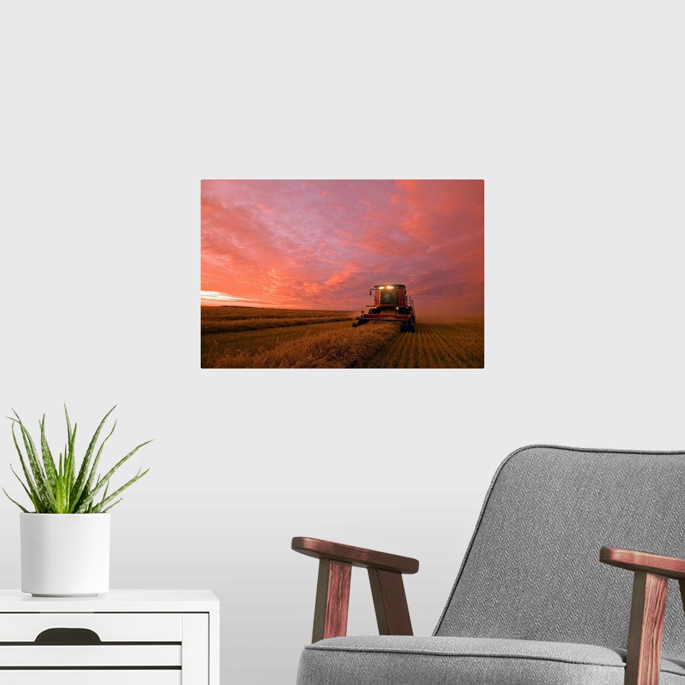 A modern room featuring Farmer Harvesting Oat Crop With A Combine At Dusk, Manitoba, Canada