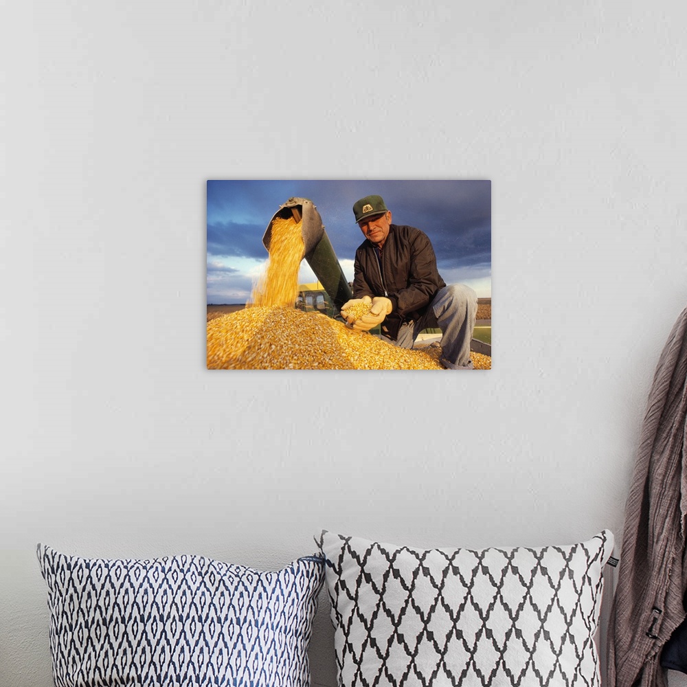 A bohemian room featuring Farmer in a grain wagon holding grain corn while combine is augering