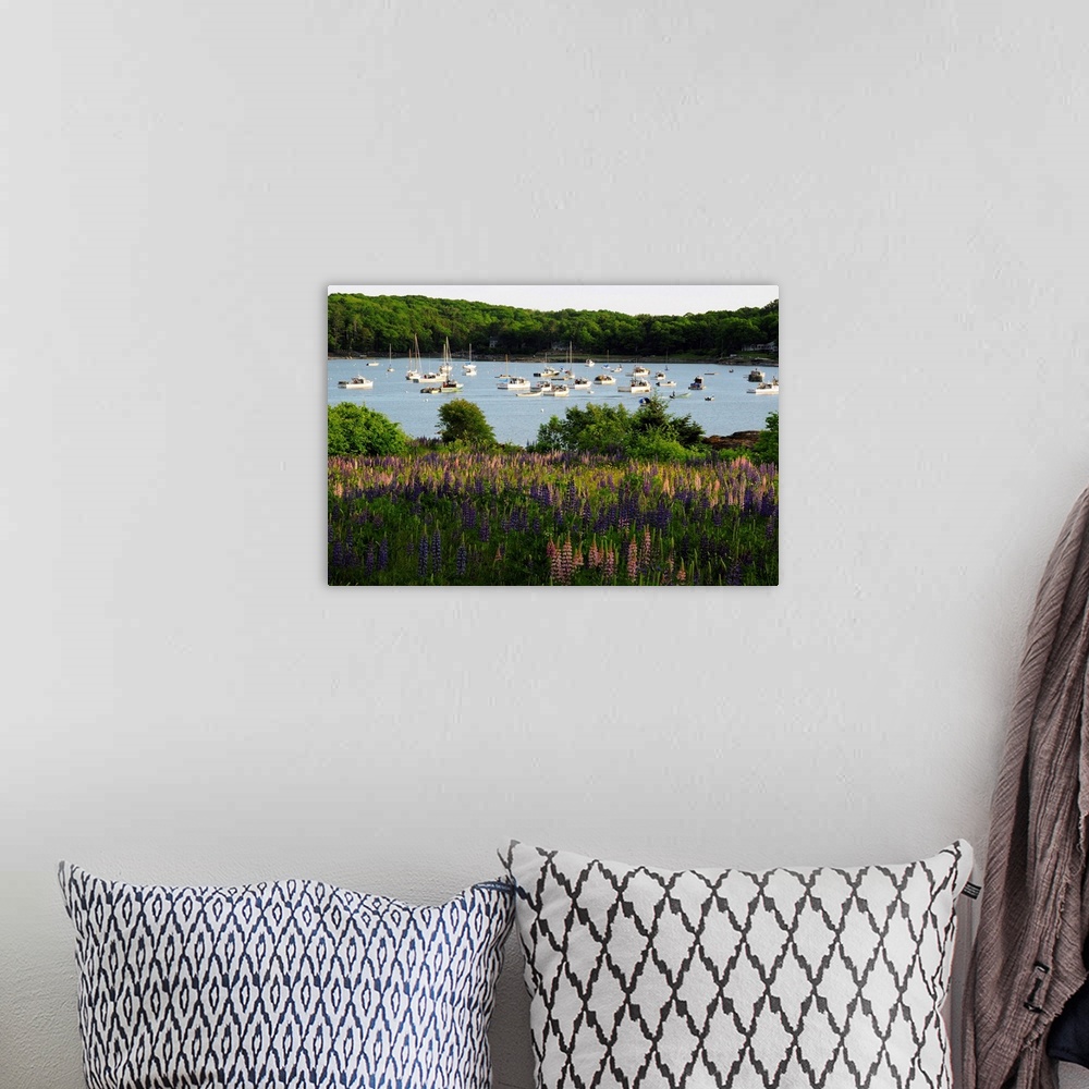 A bohemian room featuring Field of flowering lupines in front of a boat-filled Round Pond.