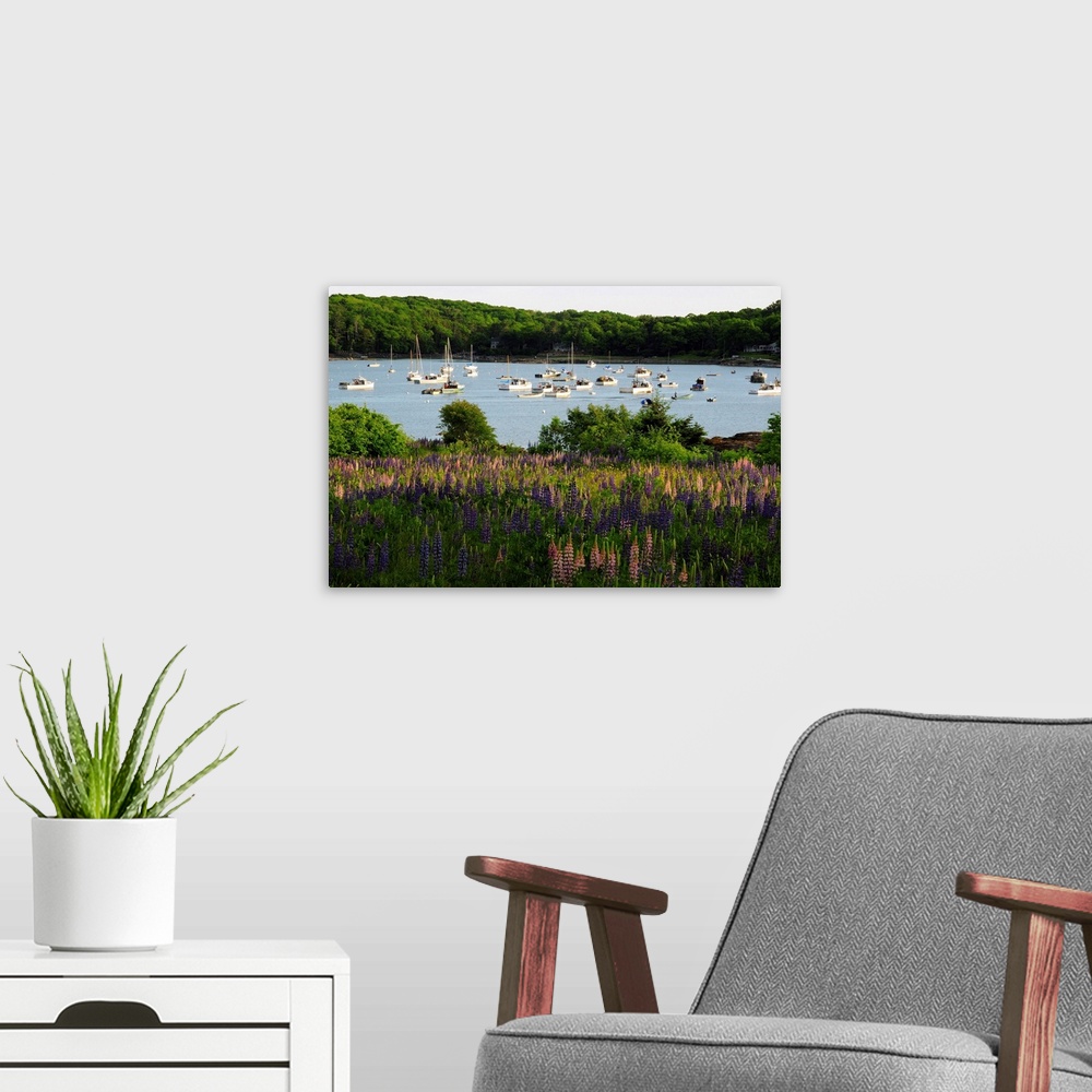 A modern room featuring Field of flowering lupines in front of a boat-filled Round Pond.