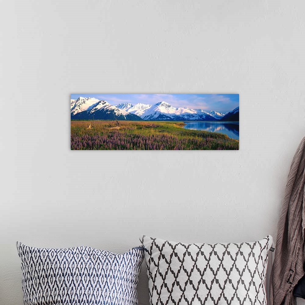 A bohemian room featuring Field Of Lupine Flowers Along Turnagain Arm, Southcentral, Alaska