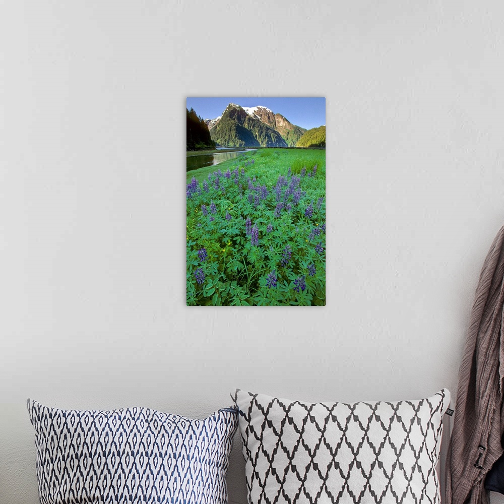 A bohemian room featuring Field of Lupine & Rudyerd River Misty Fjords Monument