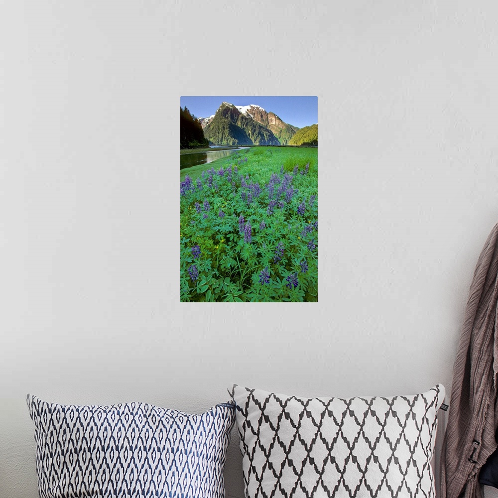 A bohemian room featuring Field of Lupine & Rudyerd River Misty Fjords Monument