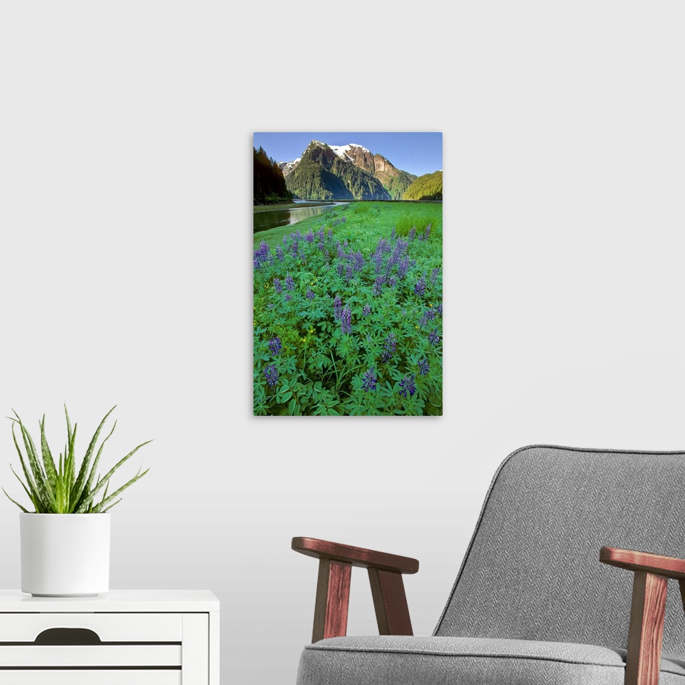 A modern room featuring Field of Lupine & Rudyerd River Misty Fjords Monument
