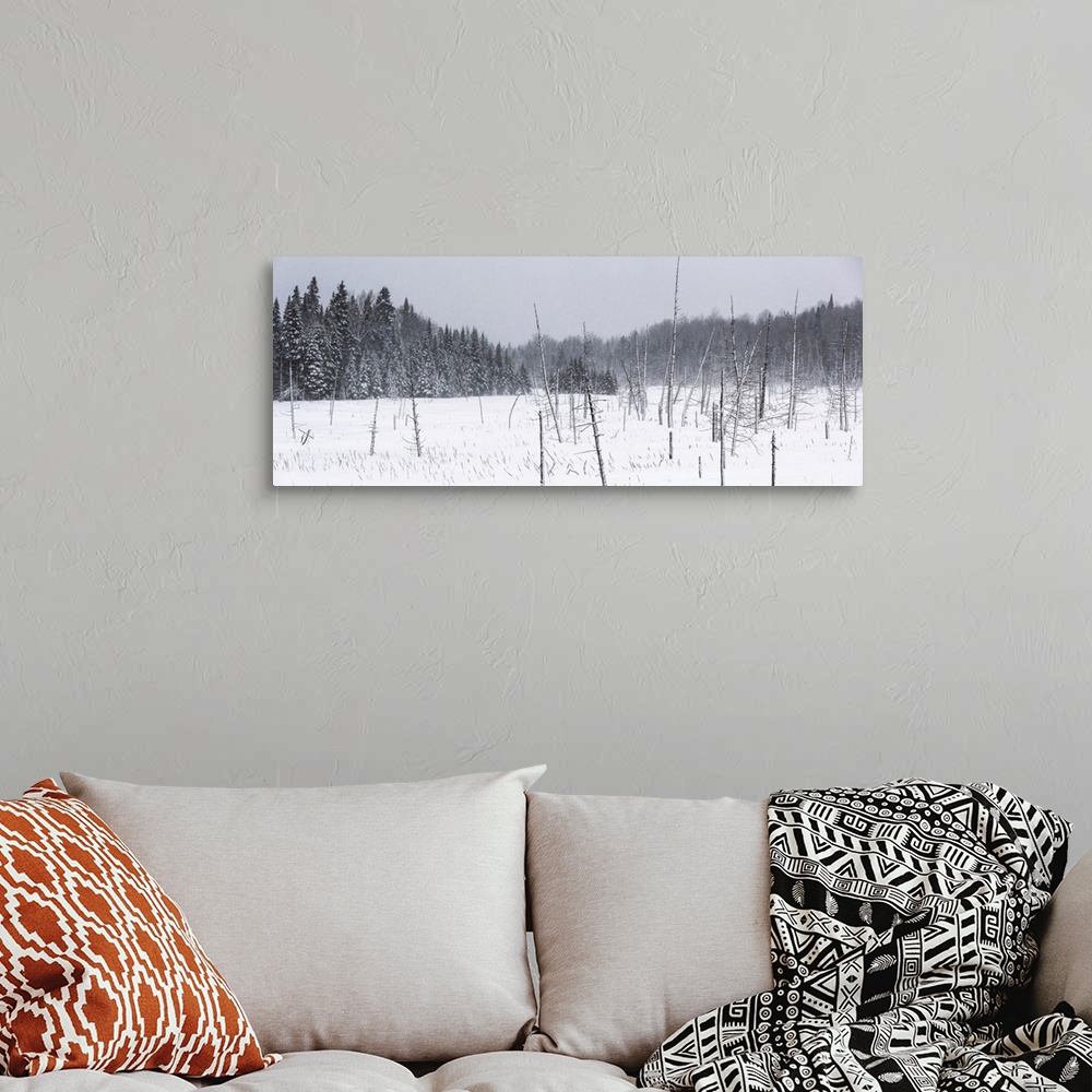 A bohemian room featuring Field of snow in a forest during a winter storm; Mont Saint Saveur, Quebec, Canada