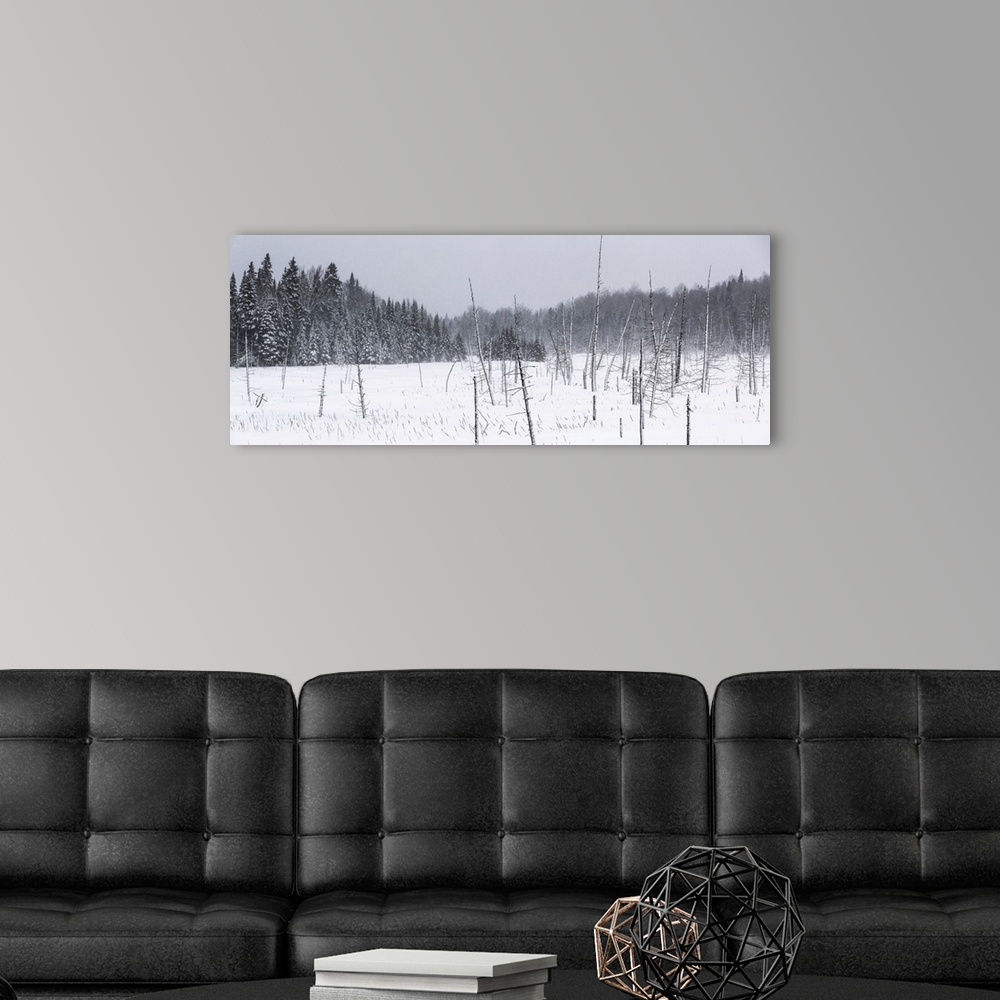A modern room featuring Field of snow in a forest during a winter storm; Mont Saint Saveur, Quebec, Canada