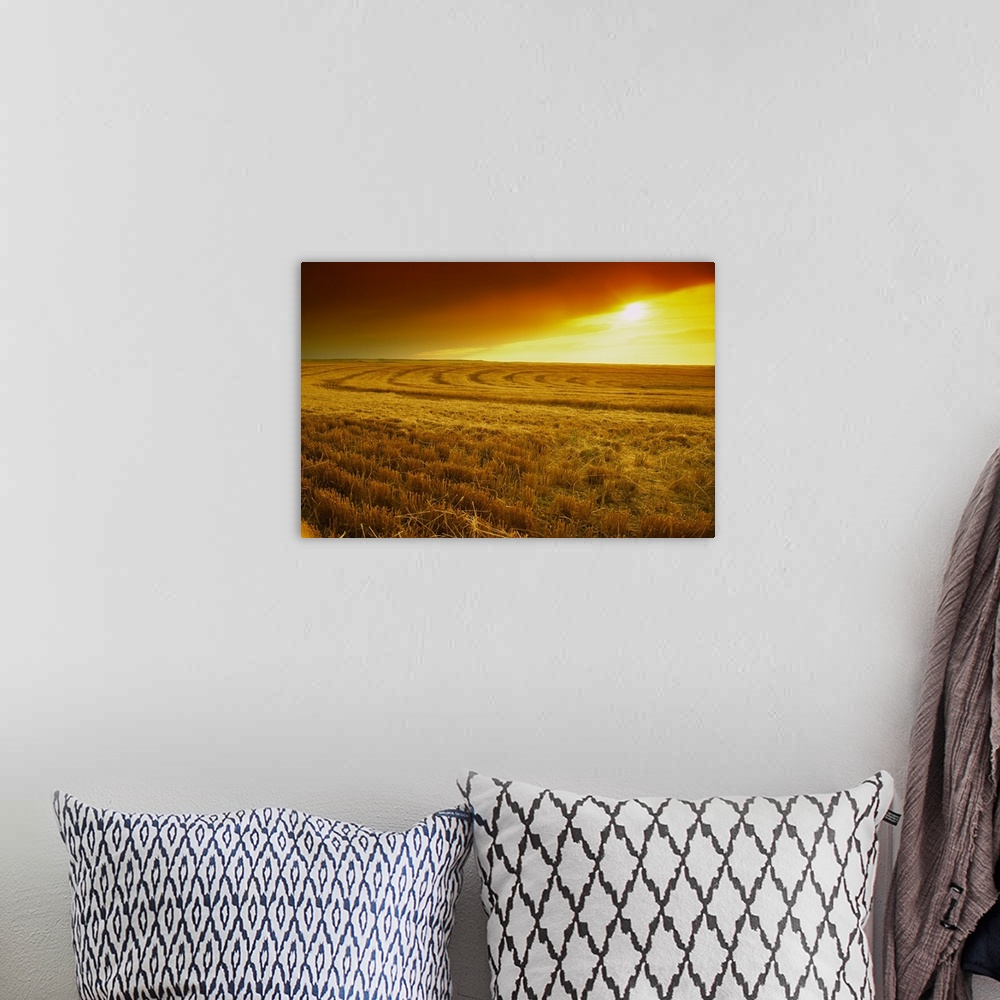 A bohemian room featuring Field of wheat stubble at sunset with a storm approaching, Nebraska