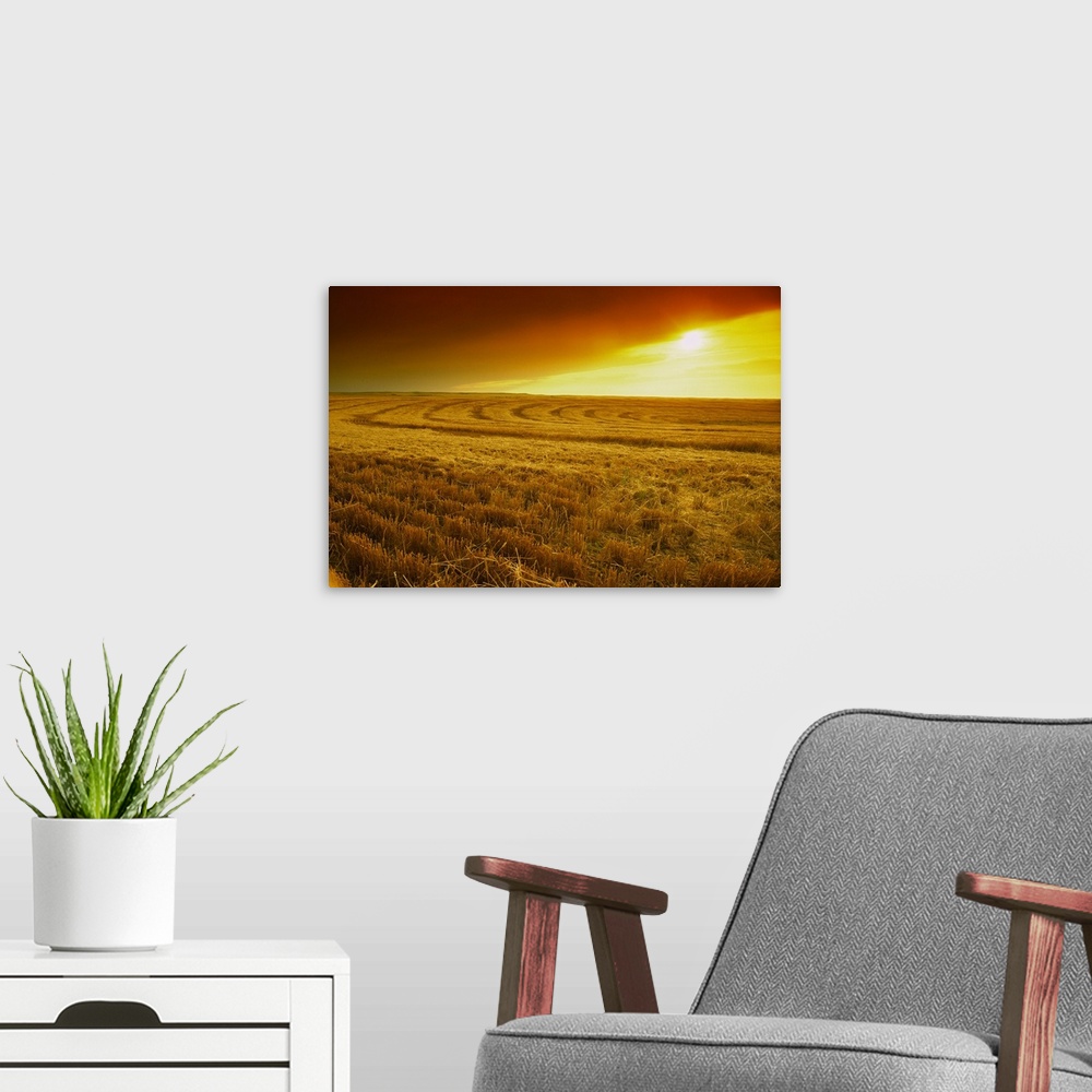 A modern room featuring Field of wheat stubble at sunset with a storm approaching, Nebraska