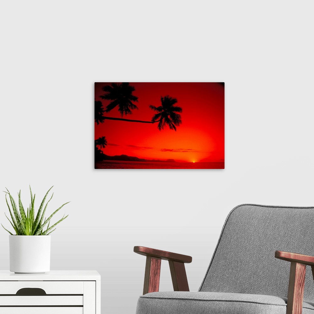 A modern room featuring Fiji, Kadavu Islands, Sunset Palm Silhouetted Along Coast With Red Orange Sky