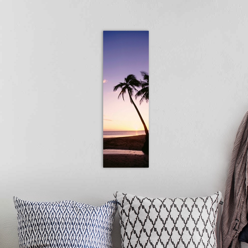 A bohemian room featuring Fiji, Palm Trees Silhouetted On Beach At Sunset