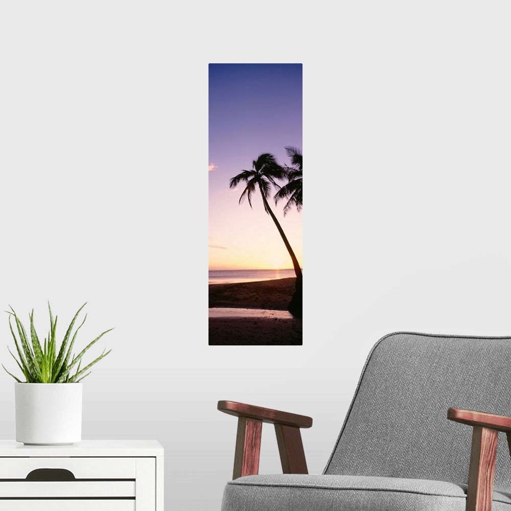 A modern room featuring Fiji, Palm Trees Silhouetted On Beach At Sunset