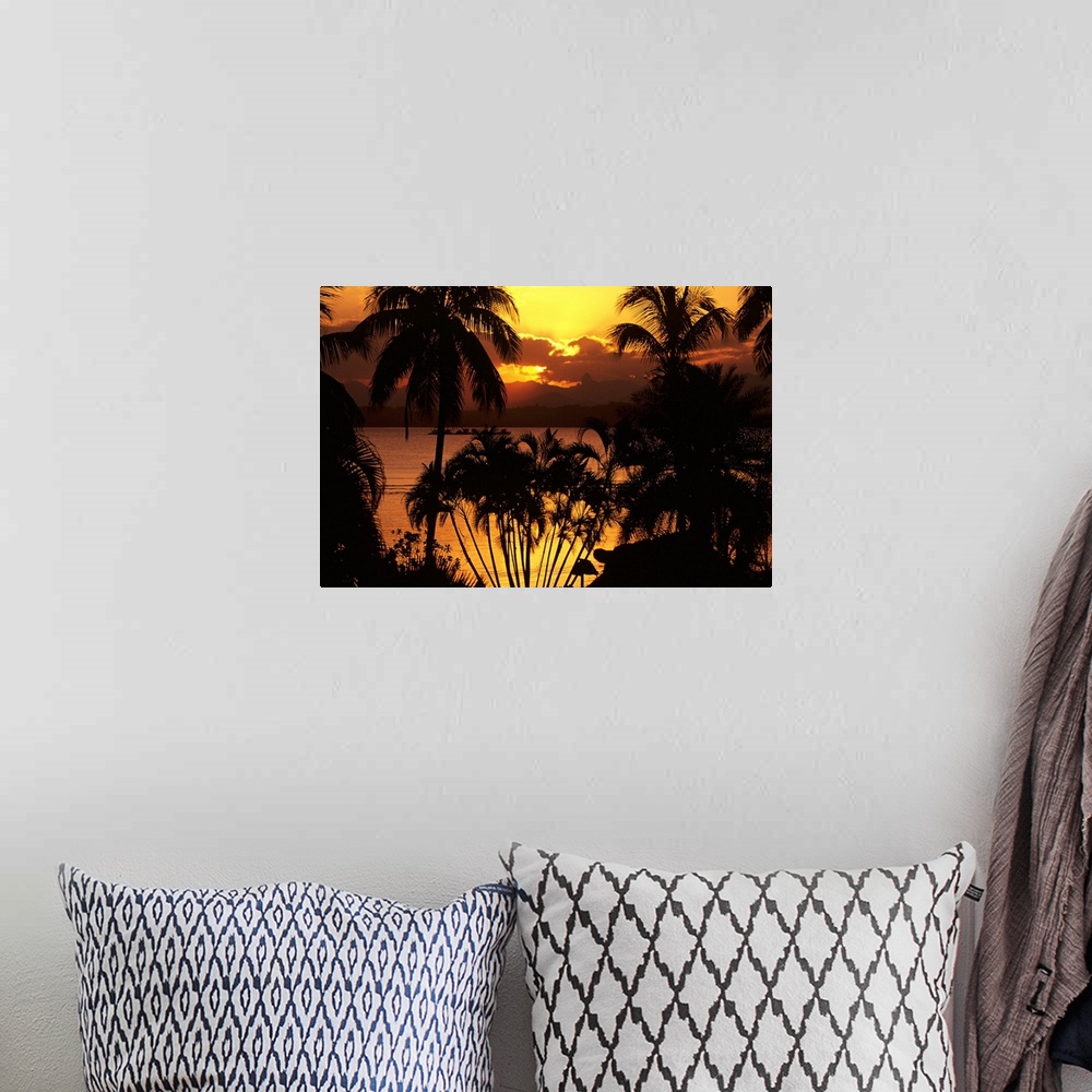 A bohemian room featuring Fiji, Sunset Over Suva Bay, Silhouetted Palm Trees In Foreground