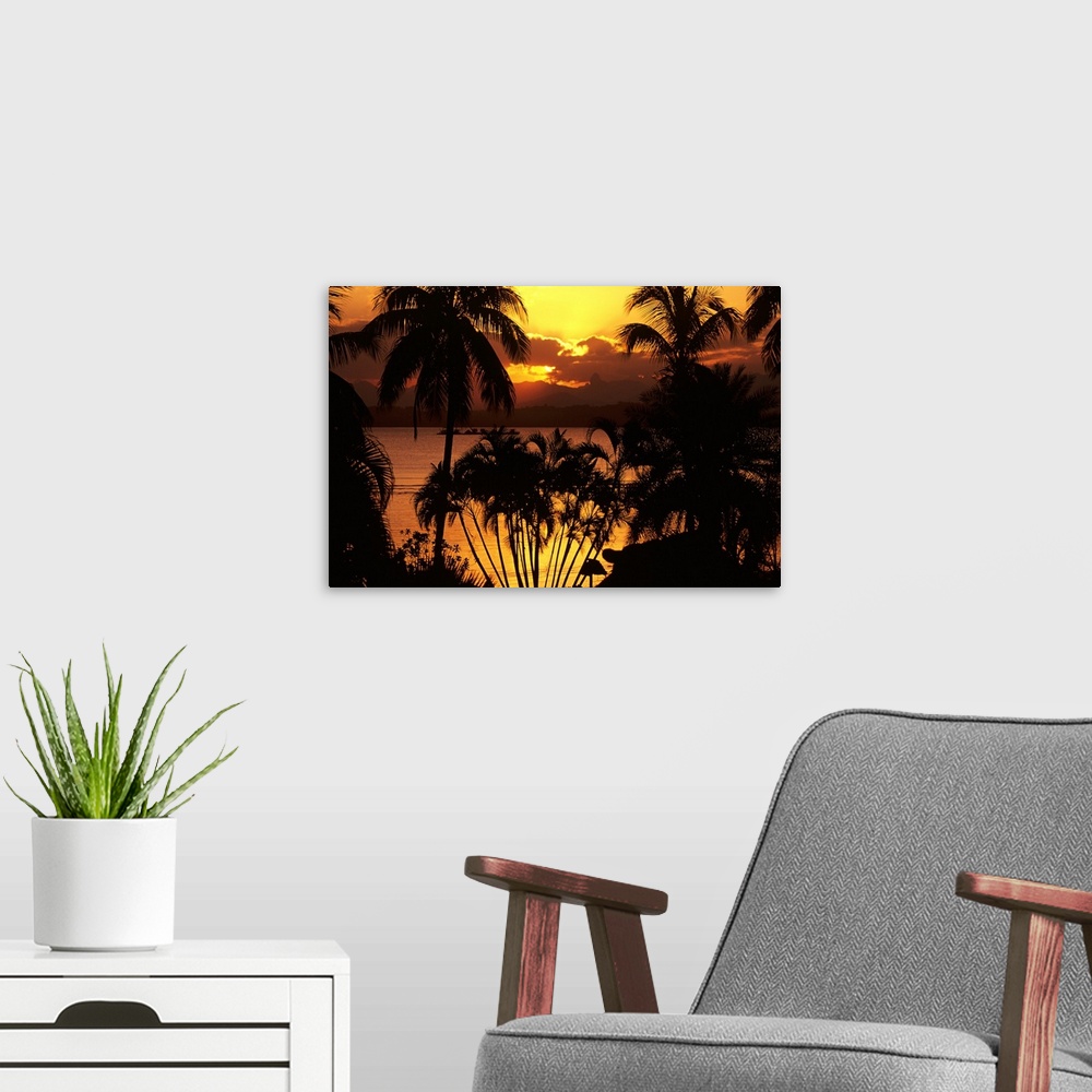 A modern room featuring Fiji, Sunset Over Suva Bay, Silhouetted Palm Trees In Foreground
