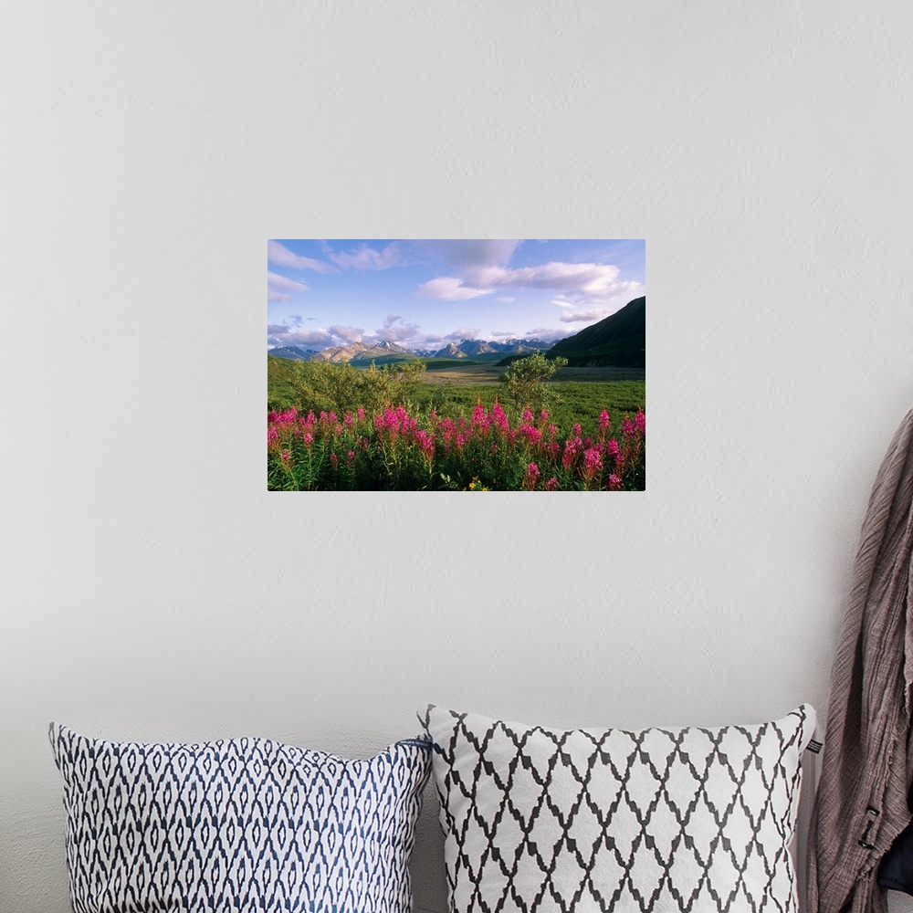 A bohemian room featuring Big landscape photograph of fireweed and green foliage on a rolling landscape, mountains in the d...