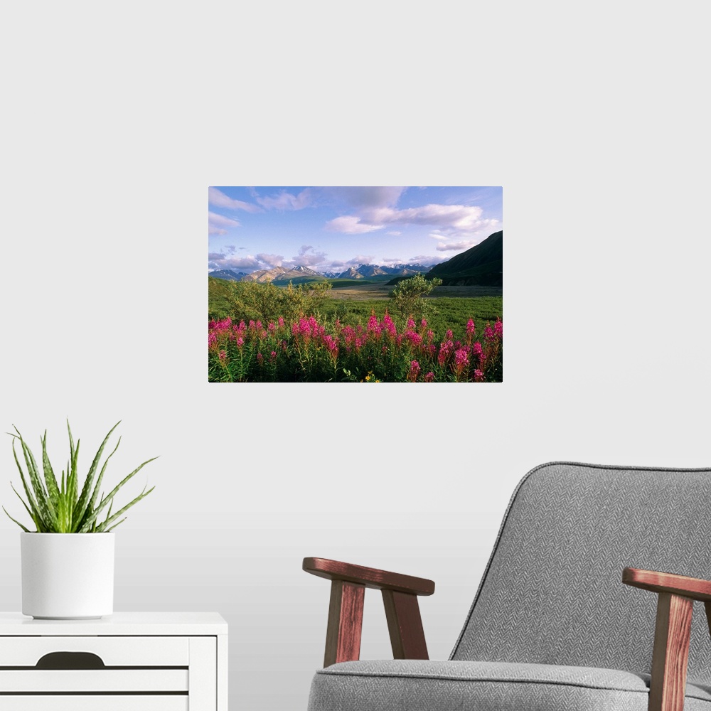 A modern room featuring Big landscape photograph of fireweed and green foliage on a rolling landscape, mountains in the d...