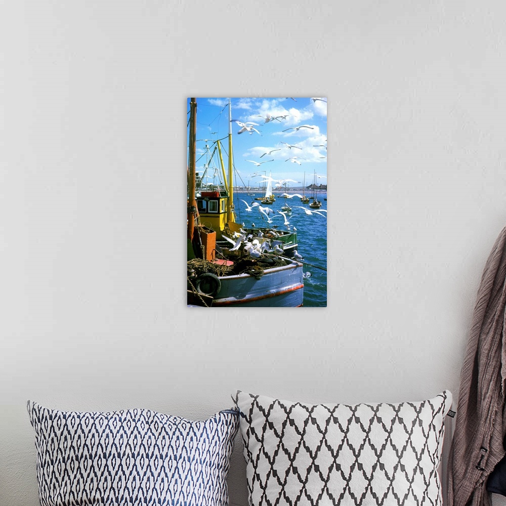 A bohemian room featuring Fishing Boat