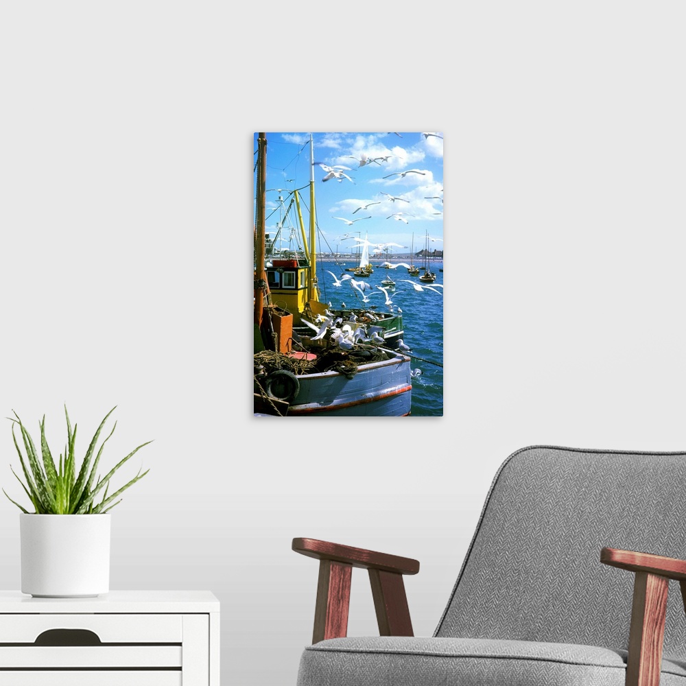 A modern room featuring Fishing Boat