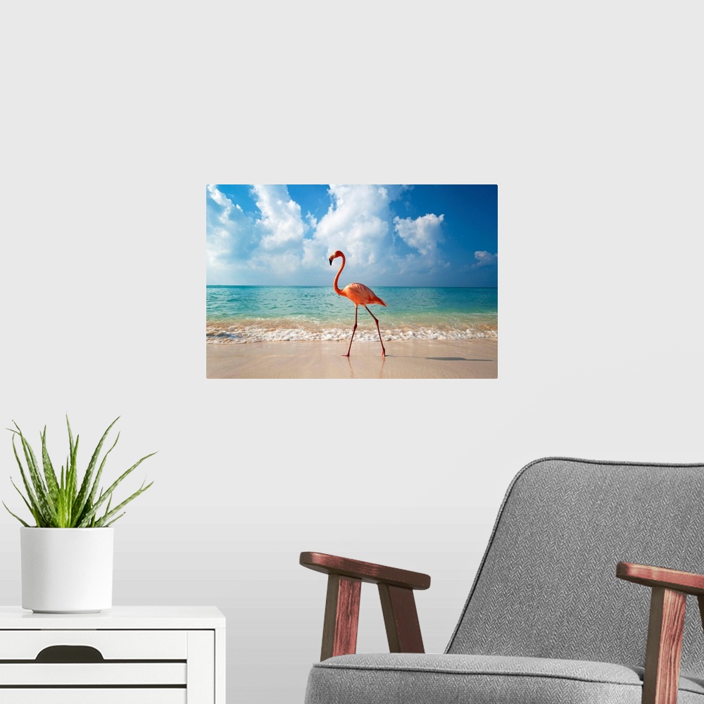 A modern room featuring Flamingo Walking Along Beach