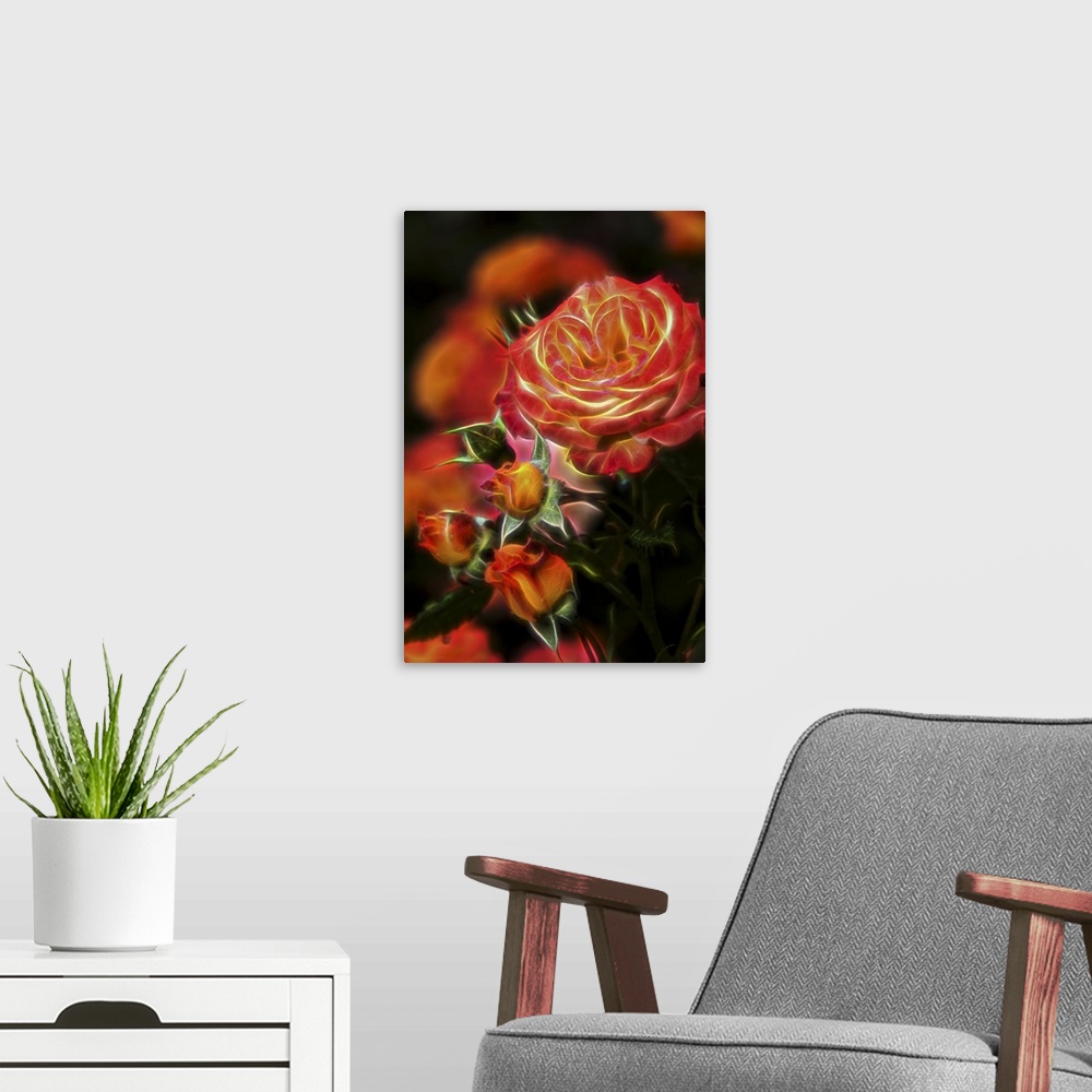A modern room featuring Floribunda Roses (Rosa), 'garden Delight' Rosaceae, New York Botanical Garden; Bronx, New York, U...