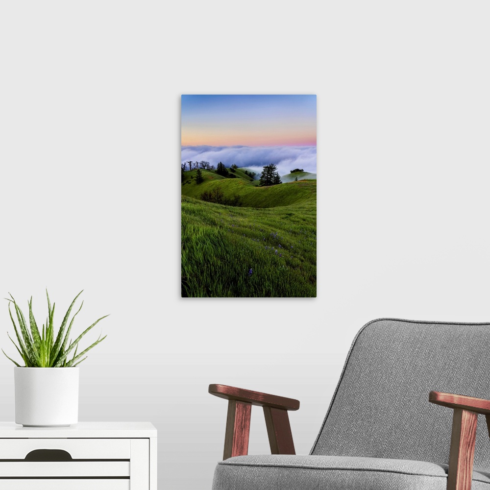 A modern room featuring Fog banks rolling in off of the ocean with the sun setting below them, lush meadow on the rolling...