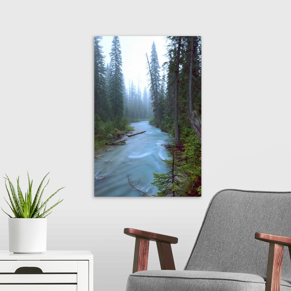 A modern room featuring Fog Over The Emerald River, Yoho National Park, British Columbia, Canada