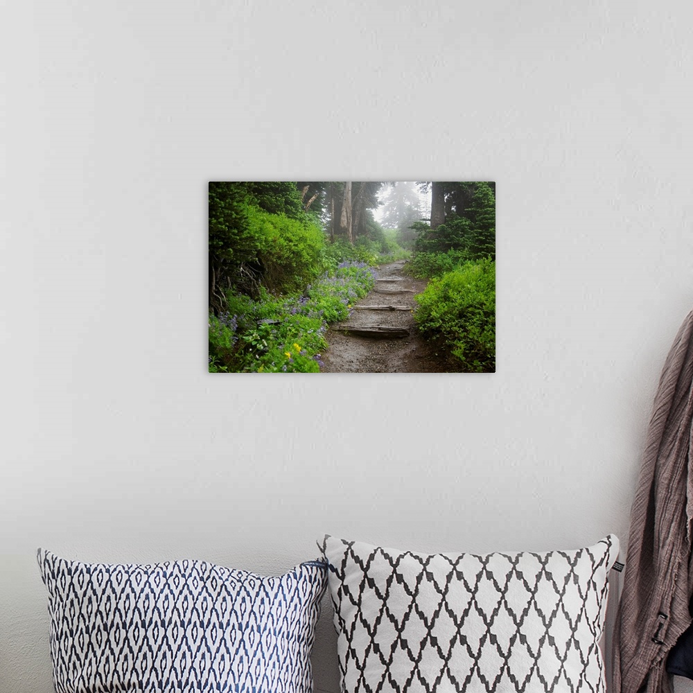 A bohemian room featuring Foggy Forest Path