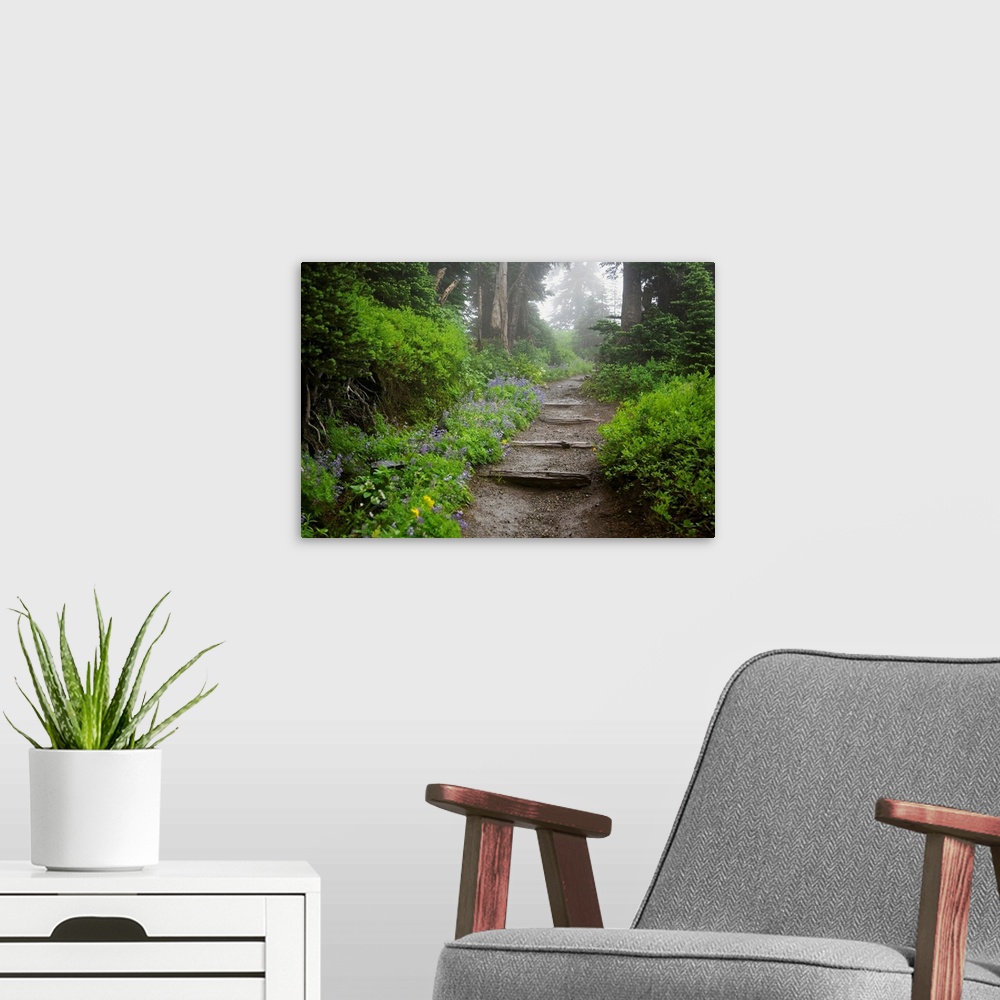 A modern room featuring Foggy Forest Path