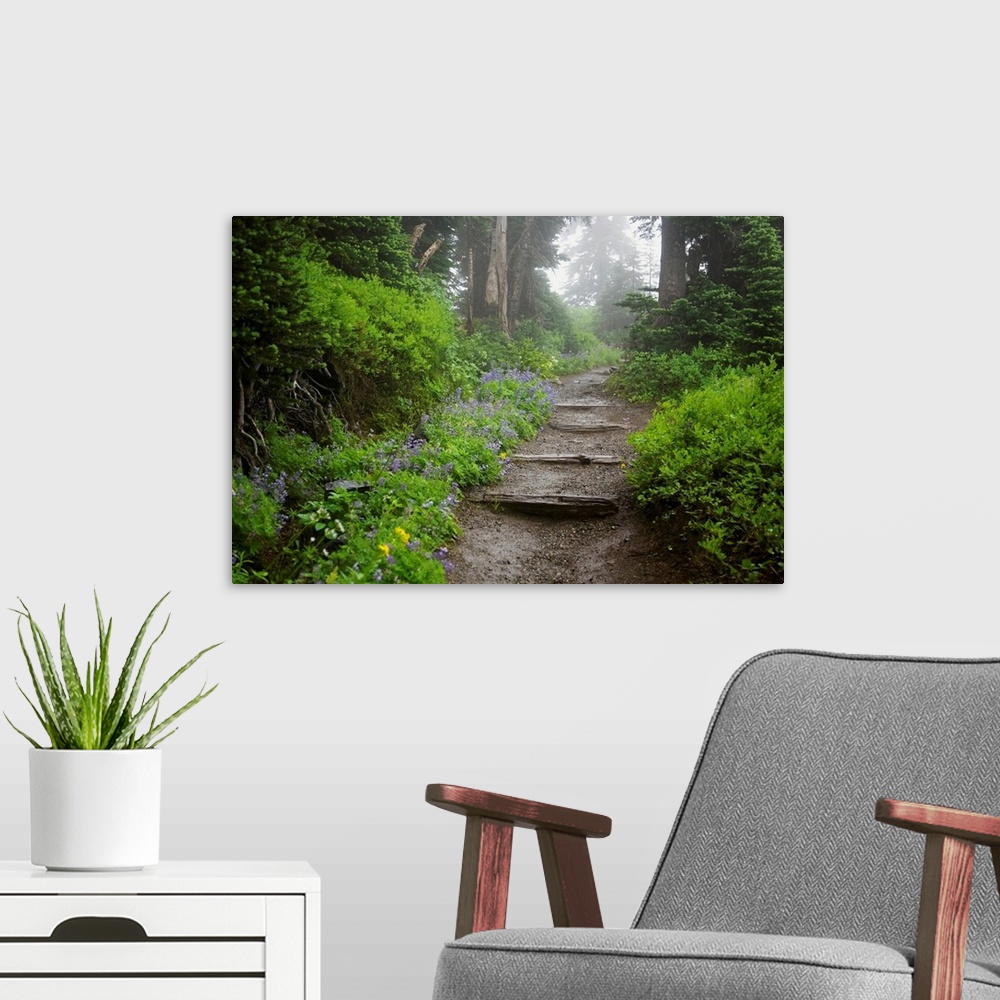 A modern room featuring Foggy Forest Path