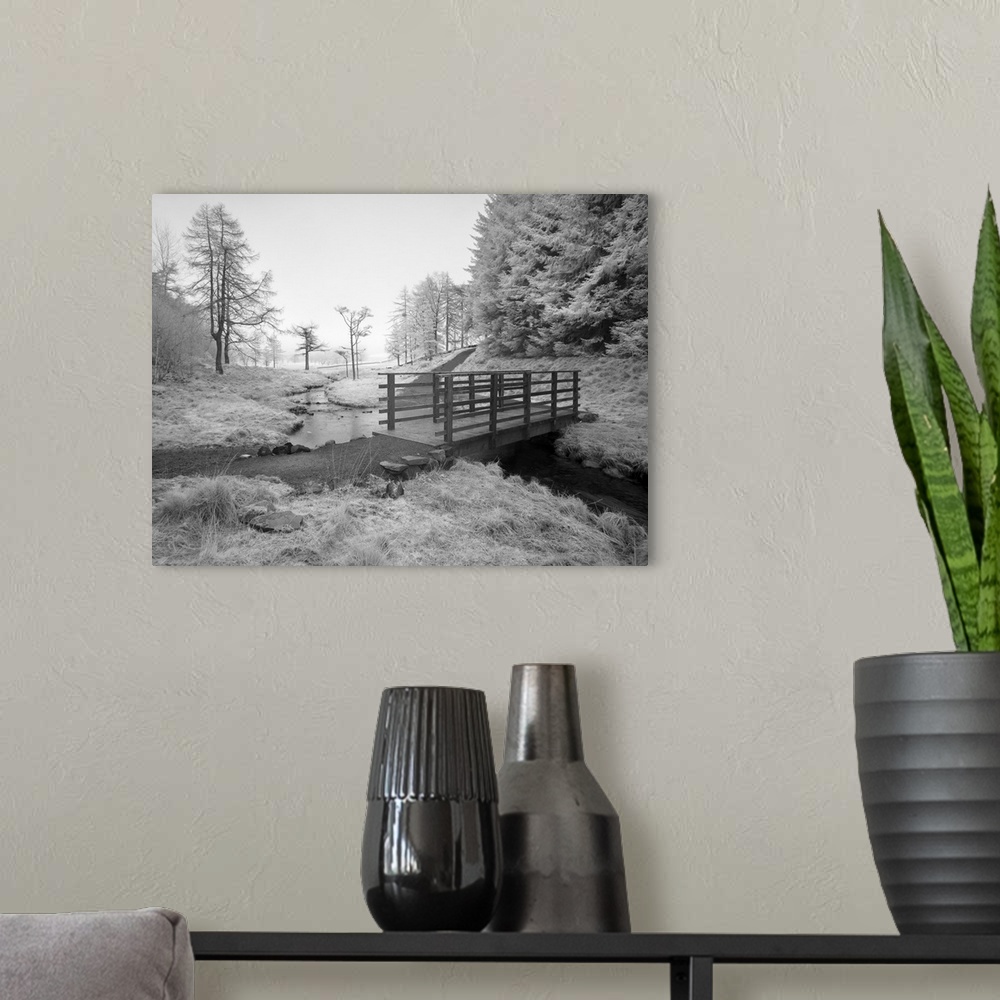A modern room featuring An infrared image of the footbridge over Bleamoss Beck just below Blea Tarn in the Lake District ...