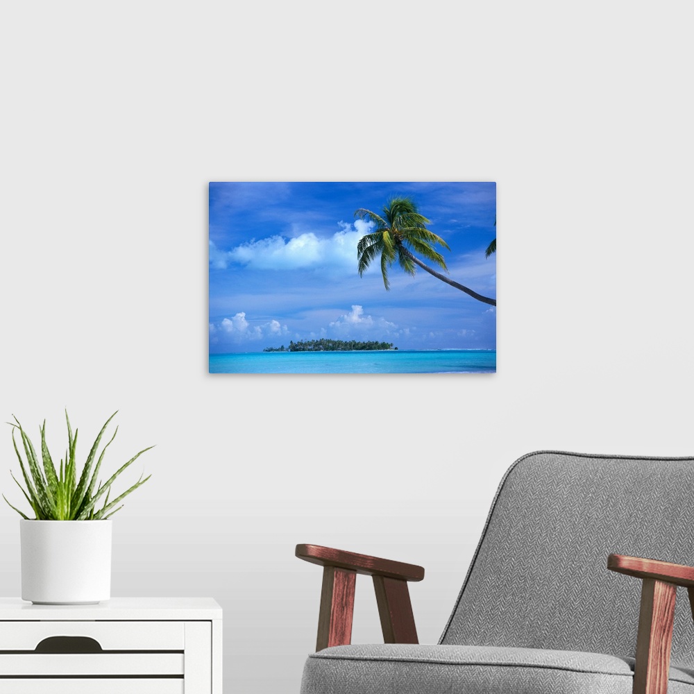 A modern room featuring French Polynesia, Bora Bora, Coastal Scene Palm In Foreground, Calm Ocean