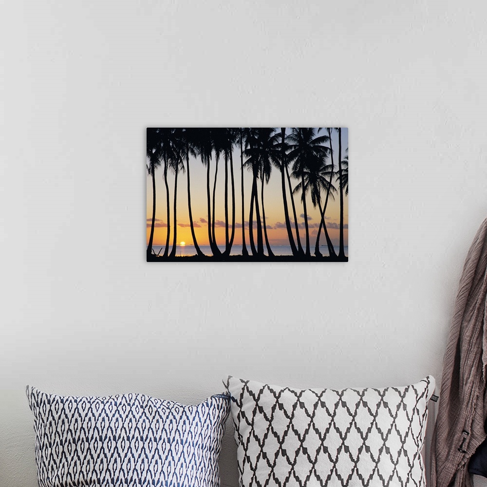 A bohemian room featuring French Polynesia, Huahine, Tropical Sunset With Silhouetted Palm Trees