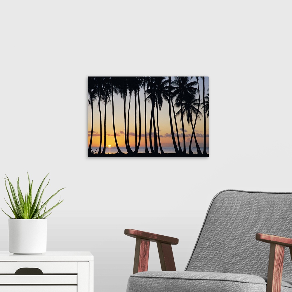 A modern room featuring French Polynesia, Huahine, Tropical Sunset With Silhouetted Palm Trees