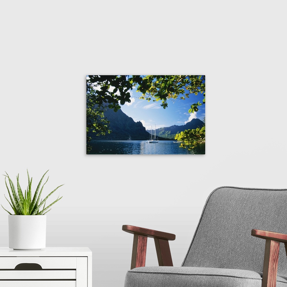 A modern room featuring French Polynesia, Moorea, Opunohu Bay, Scenic View Of Island