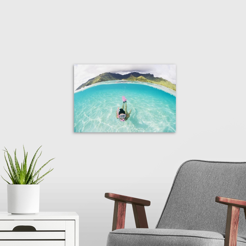 A modern room featuring French Polynesia, Moorea, Woman Free Diving In Turquoise Ocean
